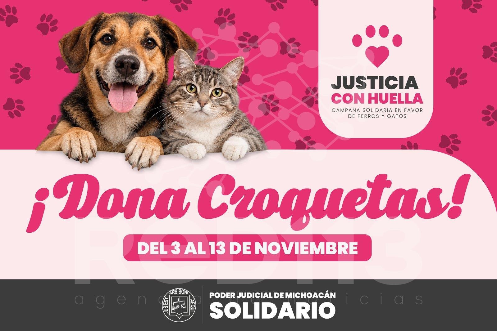 Poder Judicial de Michoacán inicia “Justicia con Huella” campaña solidaria en favor de perros y gatos