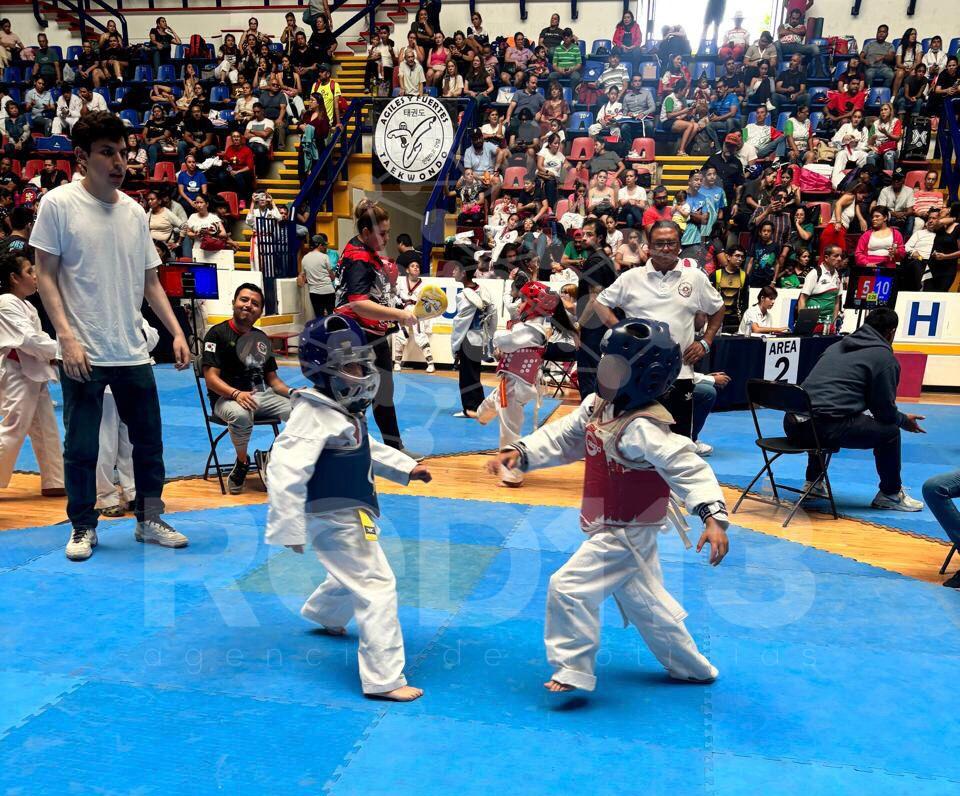 Niñas y niños del DIF Michoacán ganan 13 medallas en Copa de Taekwondo