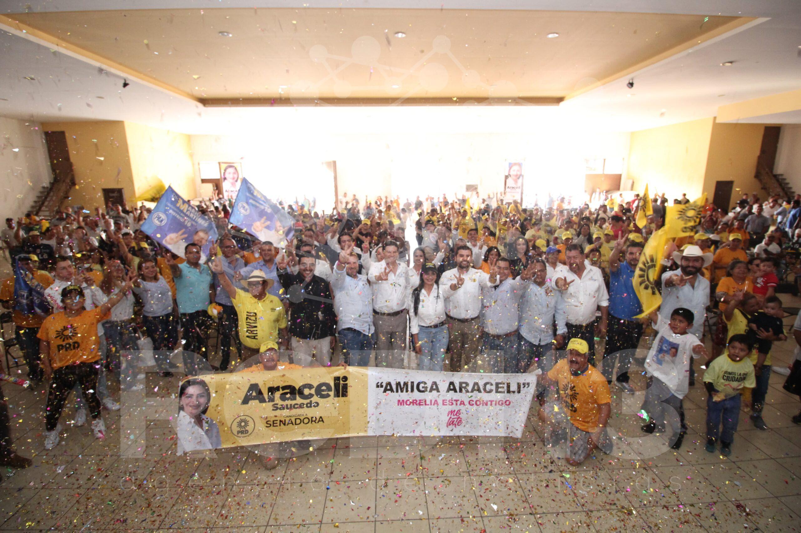 Con nuestro voto, vamos a vivir la fiesta democrática que México se merece: Araceli Saucedo