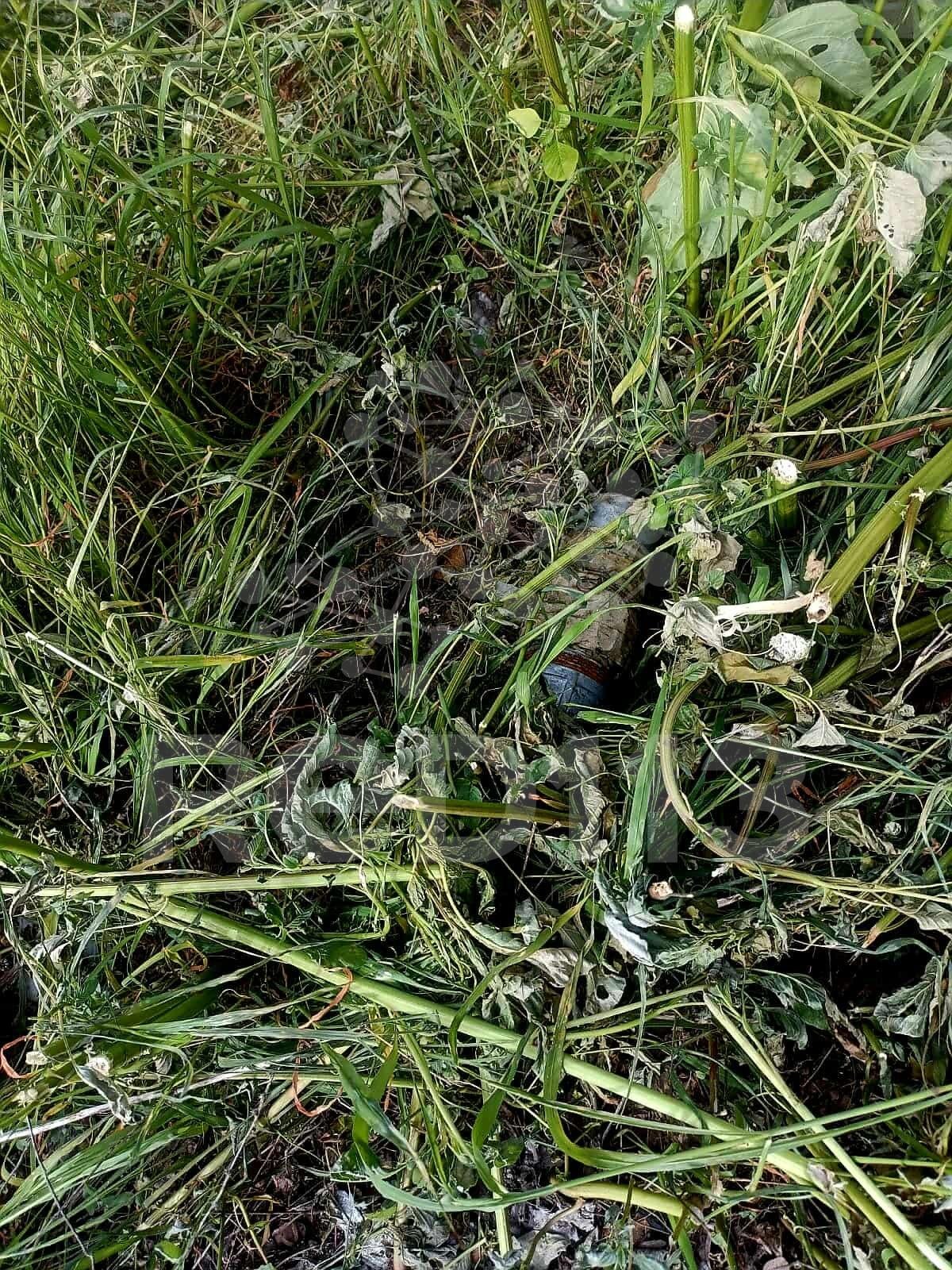 Hallan artefacto explosivo improvisado en colonia de Buenavista