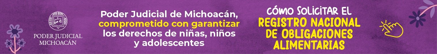 Registro nacional de obligaciones alimentarias