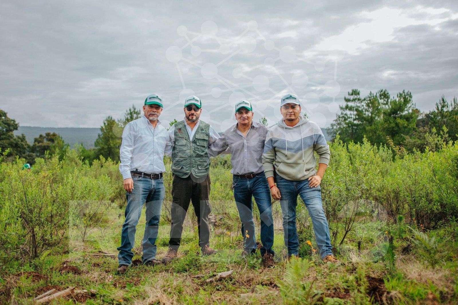 Impulsa Dayana Pérez el Medio Ambiente con la Plantación de 2,500 Pinos en Salvador Escalante