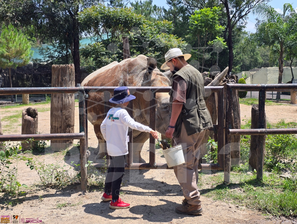 Zoológico de Morelia ofrece una aventura educativa este viernes