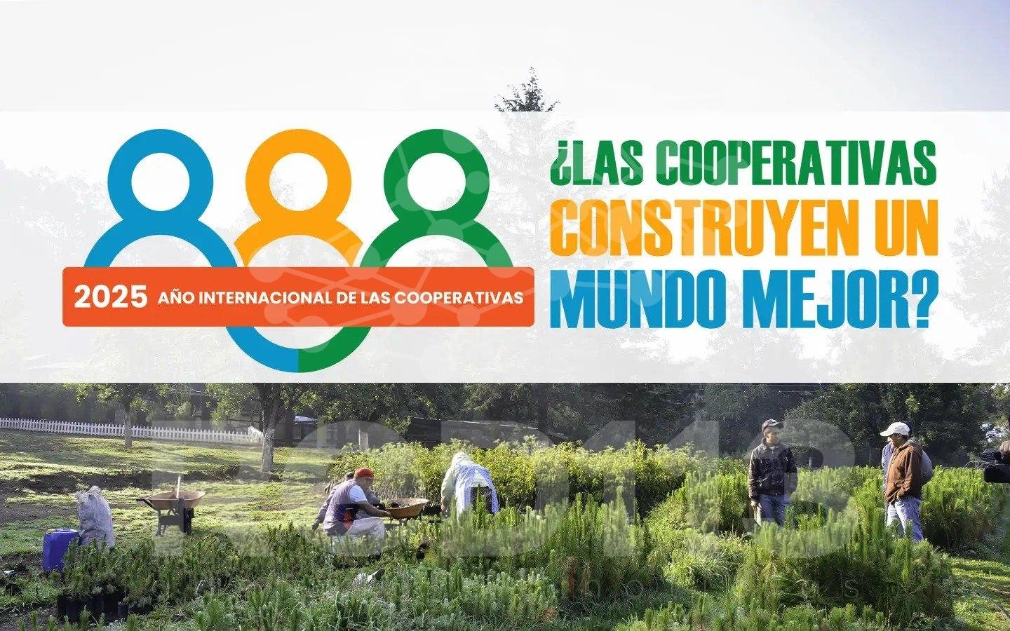 La Coperacha conmemora 20 años con la publicación “¿Las cooperativas construyen un mundo mejor?”