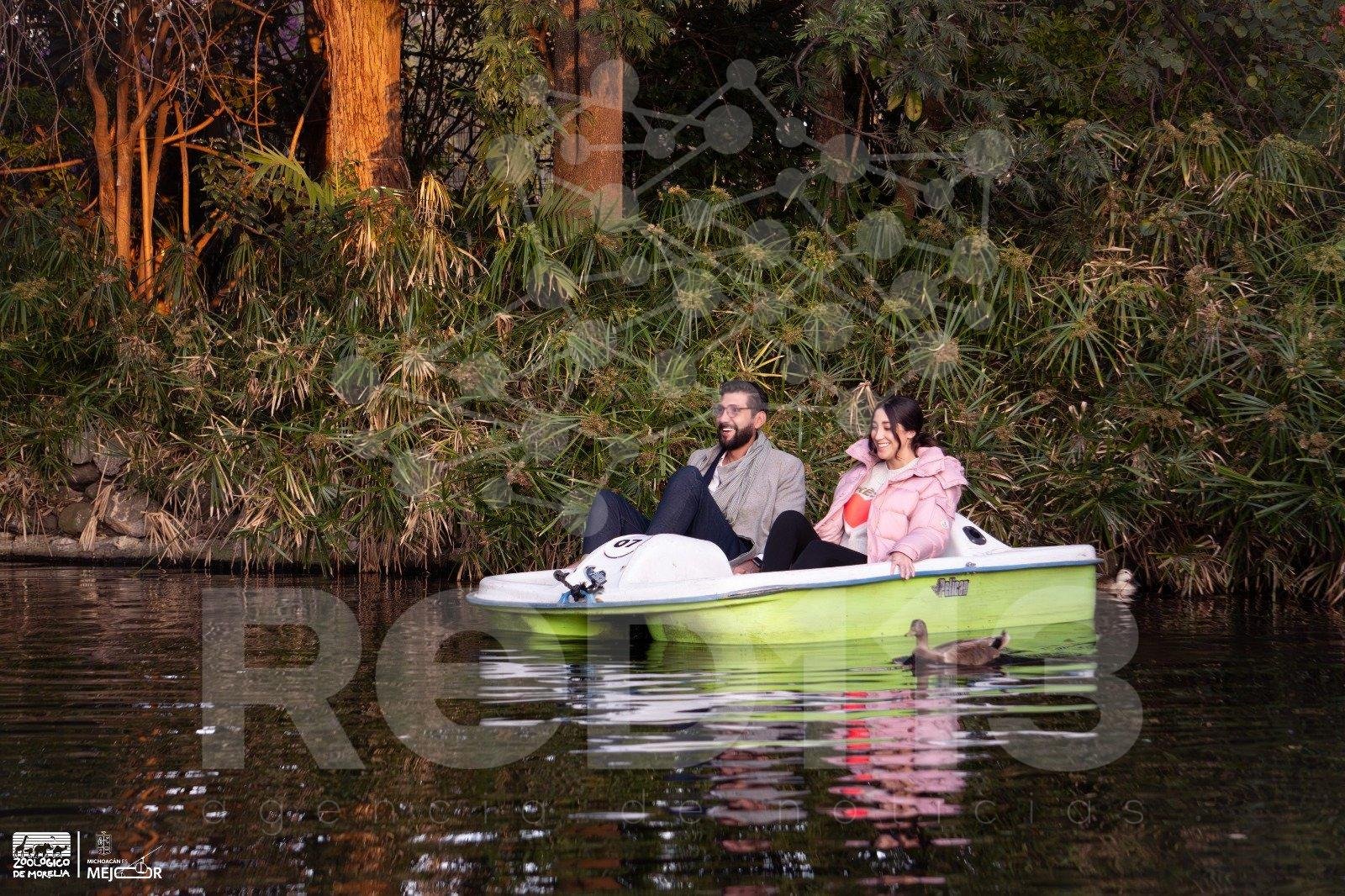 Vive una cena romántica bajo las estrellas en el Zoológico de Morelia