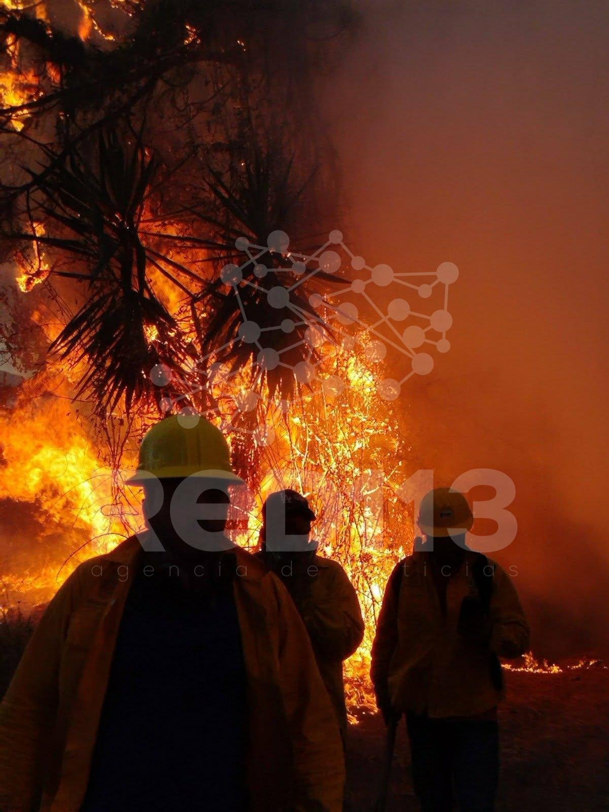 Mueren dos brigadistas al combatir incendio forestal en Tacámbaro