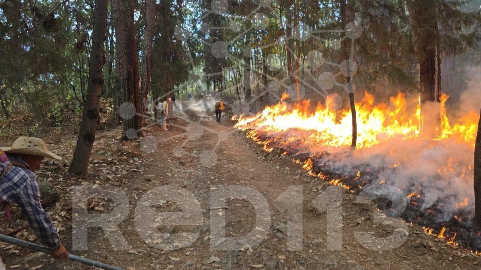 Incendio forestal consume amplia zona boscosa en Tzitzio