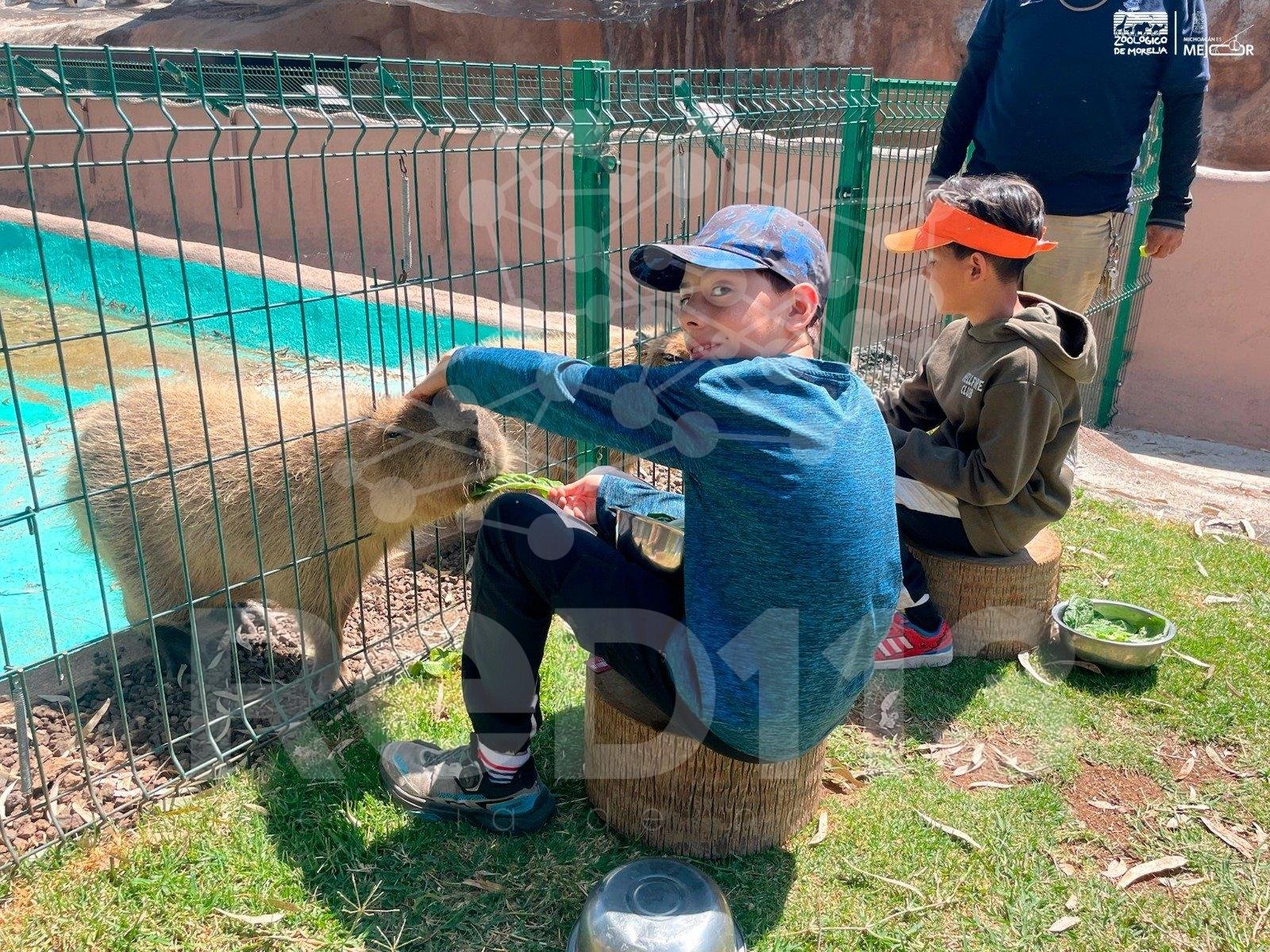 Zoológico de Morelia abre su aula viva para descubrir el mundo de las serpientes