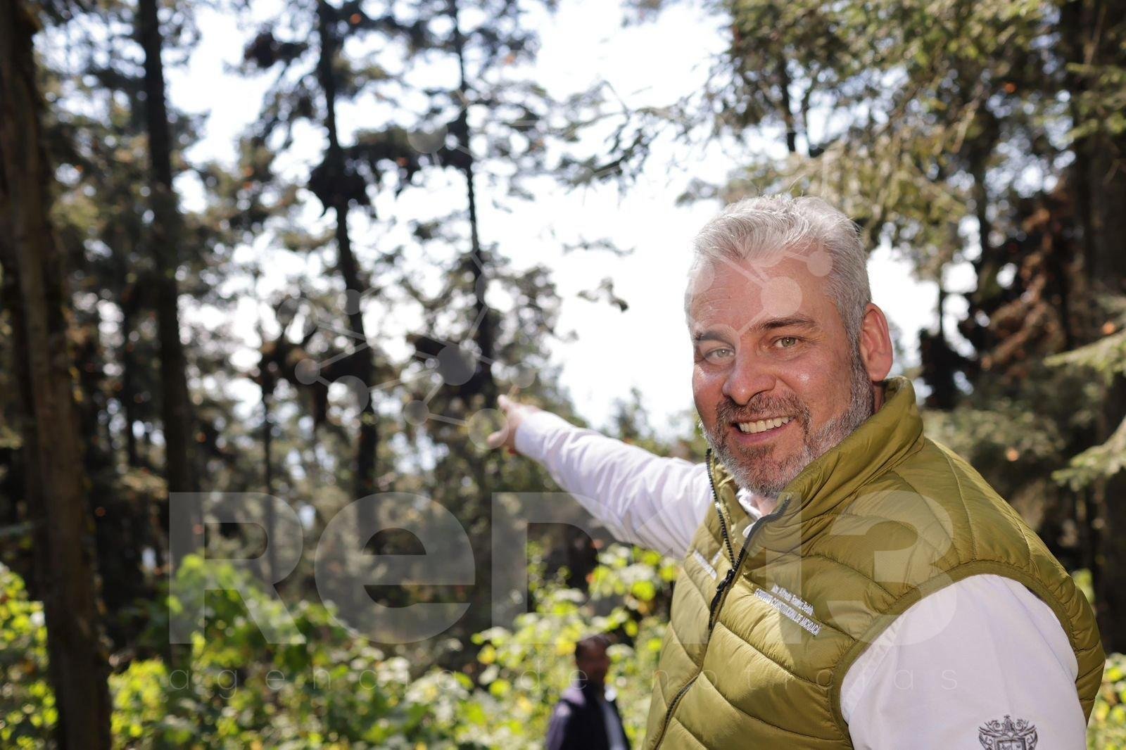 Bedolla celebra incremento del 64% en la migración de la Mariposa Monarca