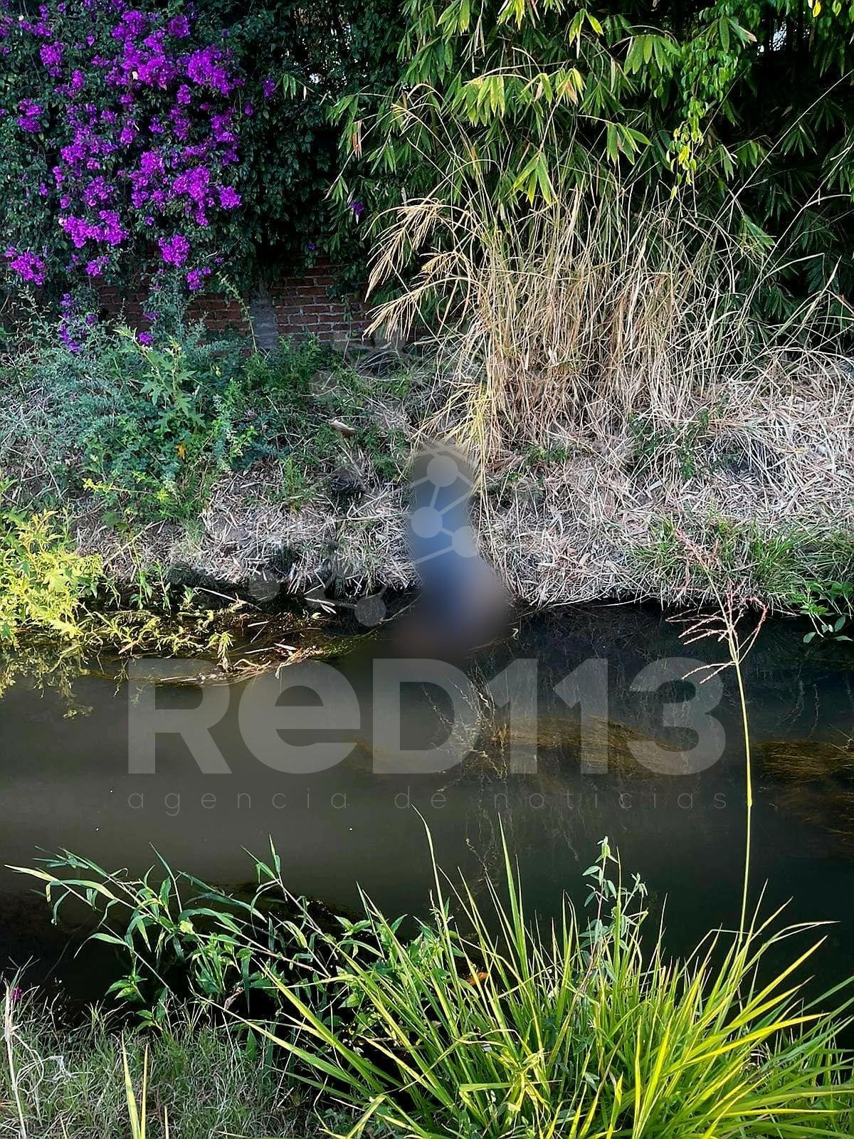 Hombre que cortaba carrizos, toca cables de mediana tensión y muere electrocutado, en Zamora