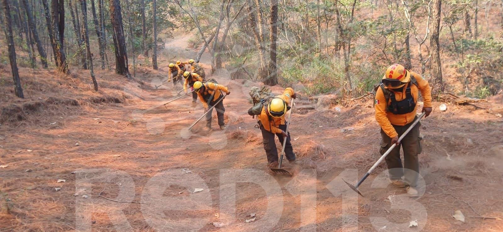 Controlado al 100 % incendio en Nuevo Urecho