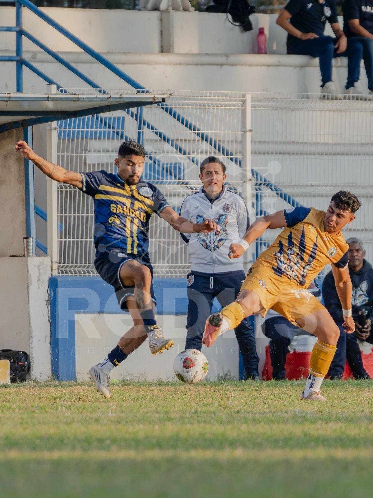 Atlético Morelia-UMSNH varonil cierra la temporada regular de la Liga TDP