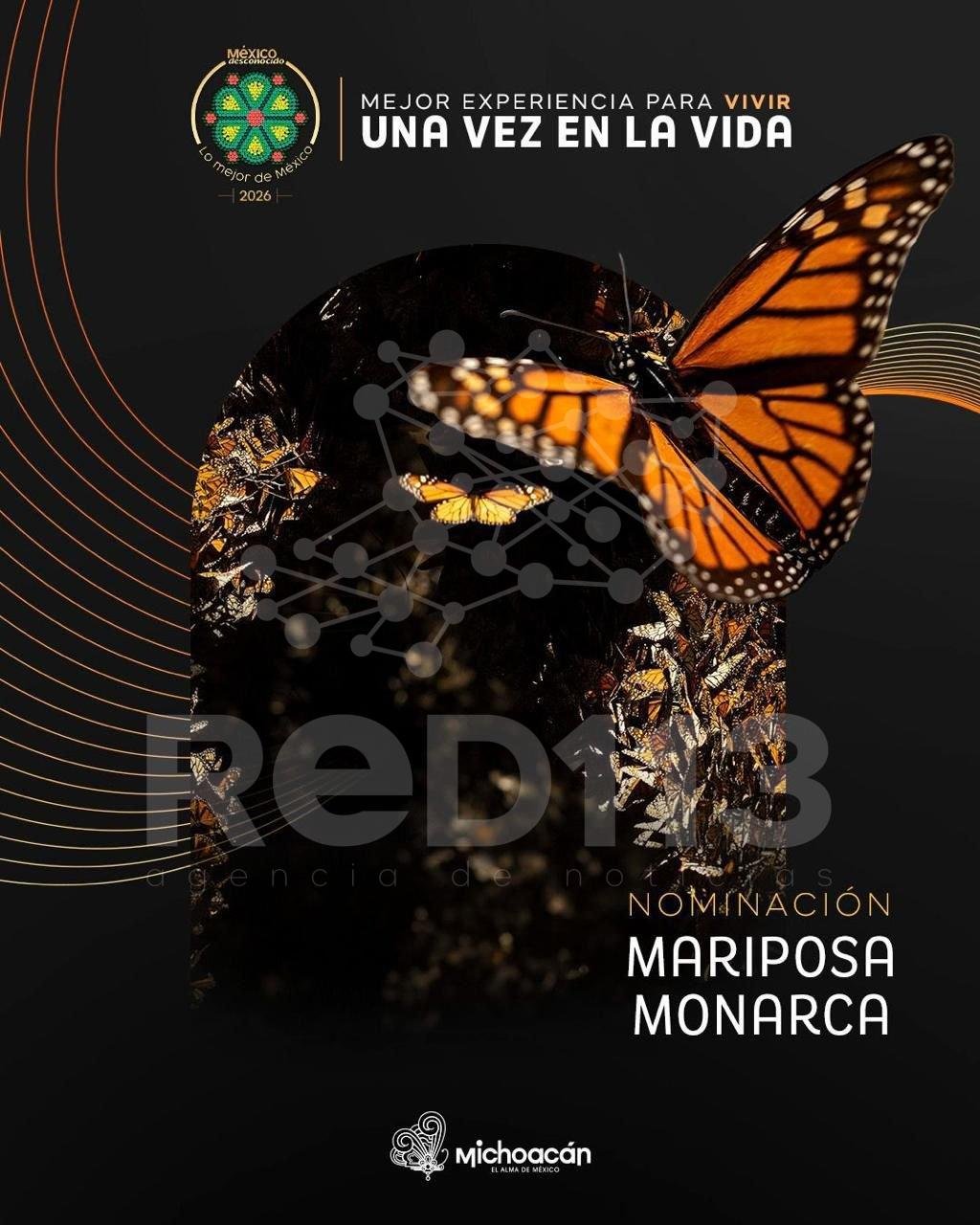 Vota por la Mariposa Monarca en los premios Lo Mejor de México