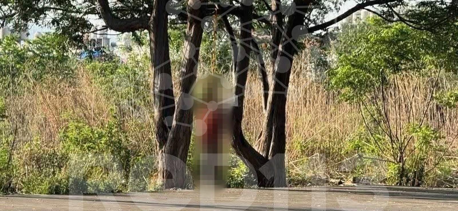 Hallan a hombre muerto y suspendido de un árbol en La Hacienda, Morelia