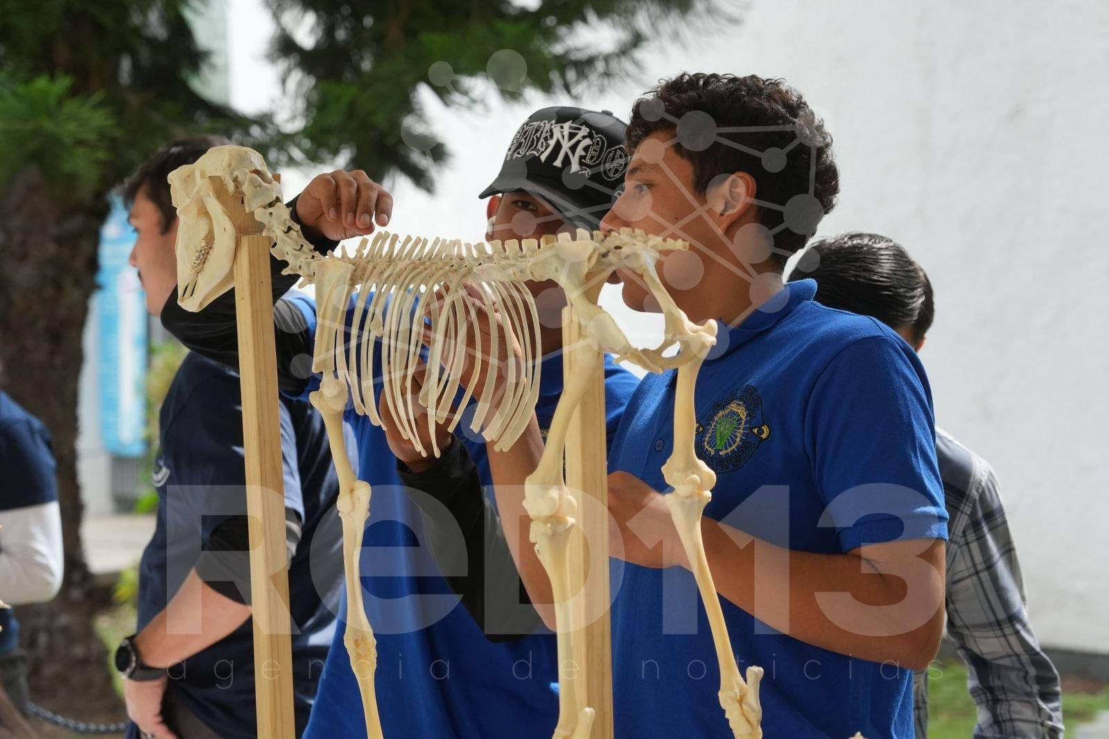 ESTE 5 Y 6 DE JUNIO, REGRESA EL TIANGUIS DE LA CIENCIA DE LA UMSNH