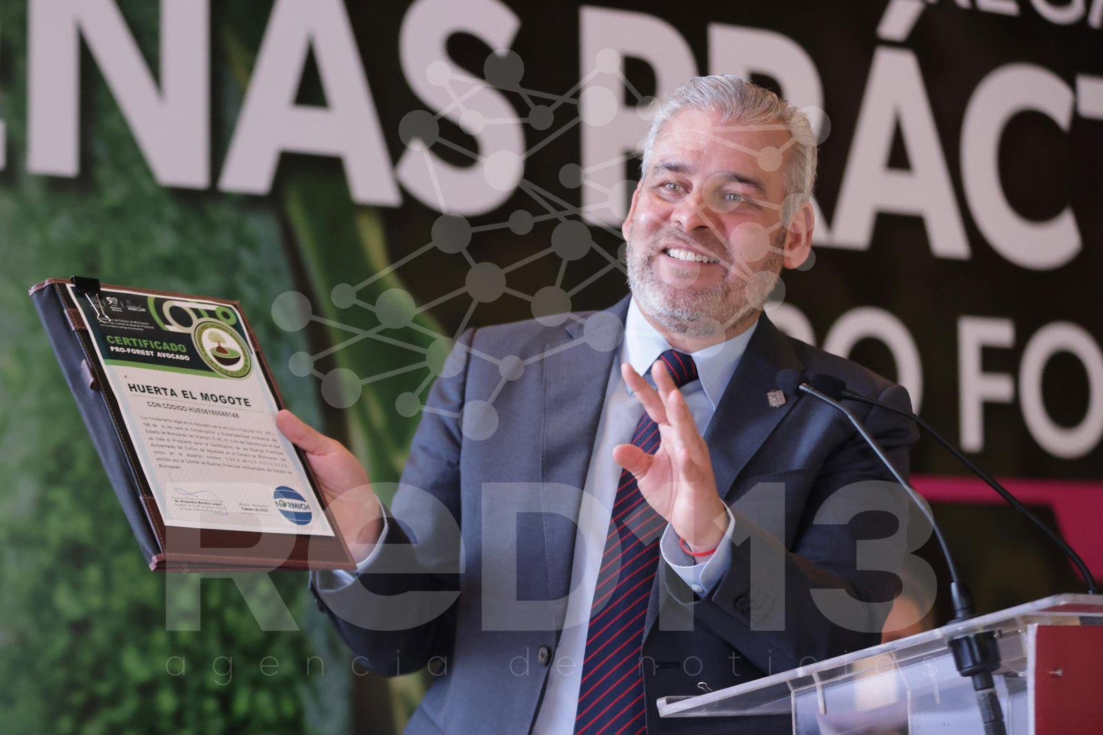 Certificación «ProForest Avocado»: El sello satelital que exigen 50 organizaciones en EE. UU.