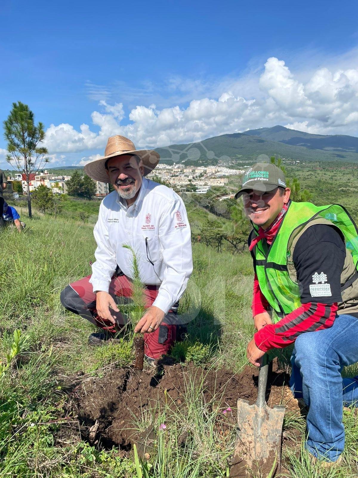 Priorizan rescate de cuencas y Áreas Naturales Protegidas en reforestación estatal