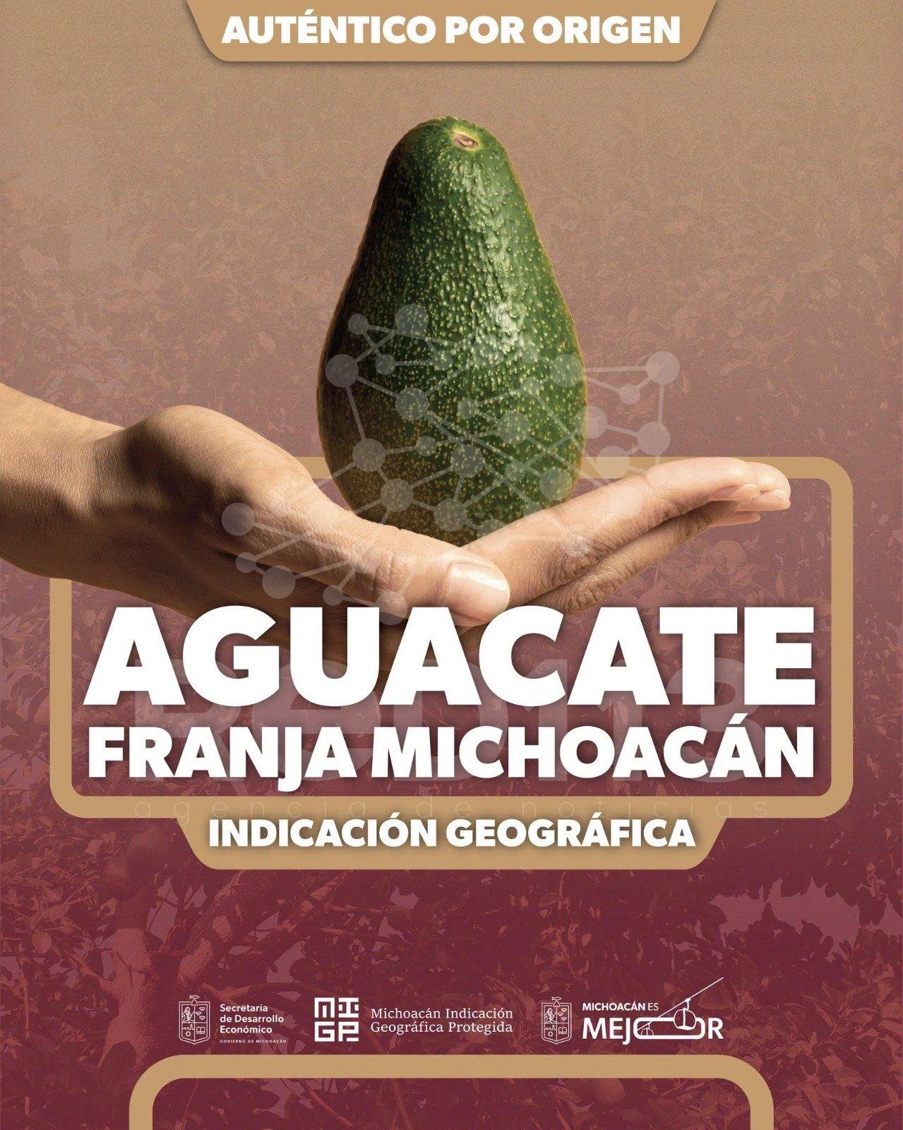 El aguacate michoacano y el valor de proteger un patrimonio colectivo
