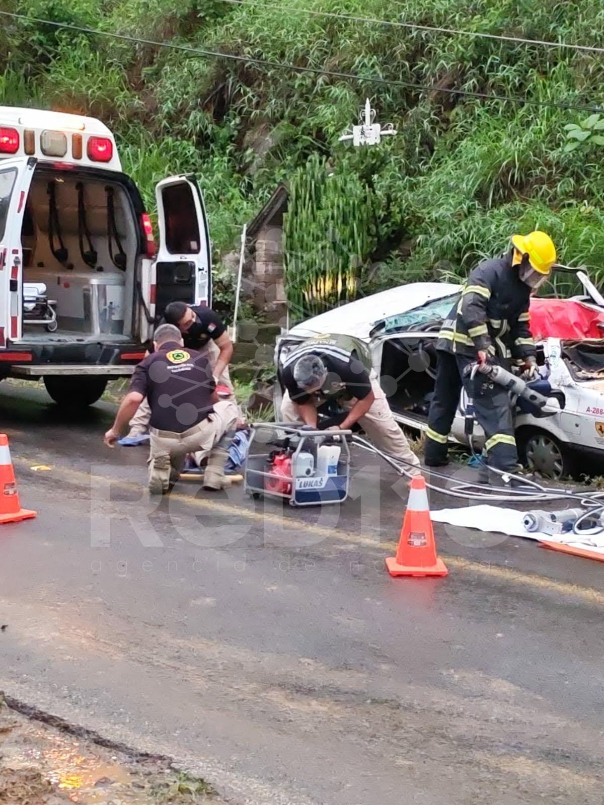 Tragedia en Tacámbaro, árbol aplasta a taxi; hay un muerto y tres heridos