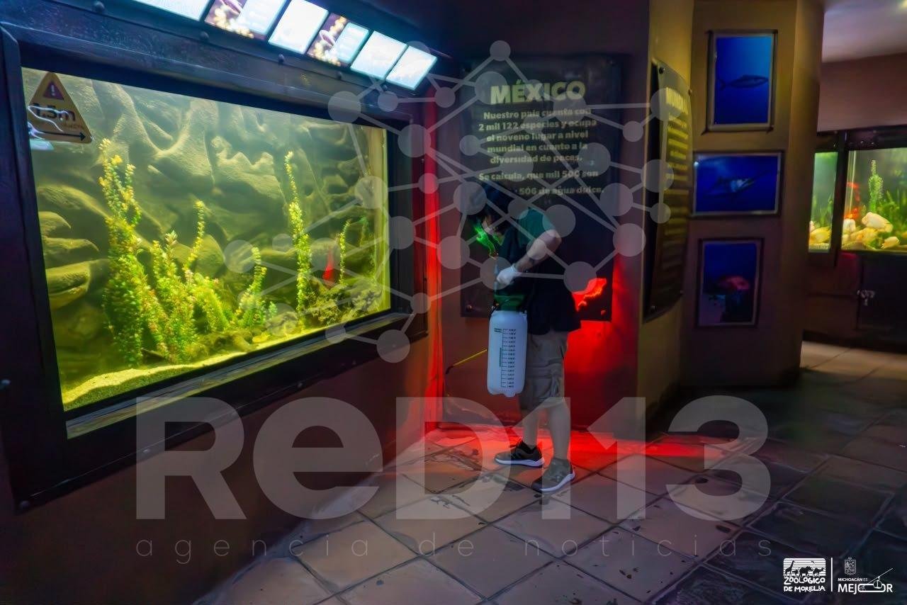 Zoológico de Morelia refuerza medidas preventivas contra el gusano barrenador