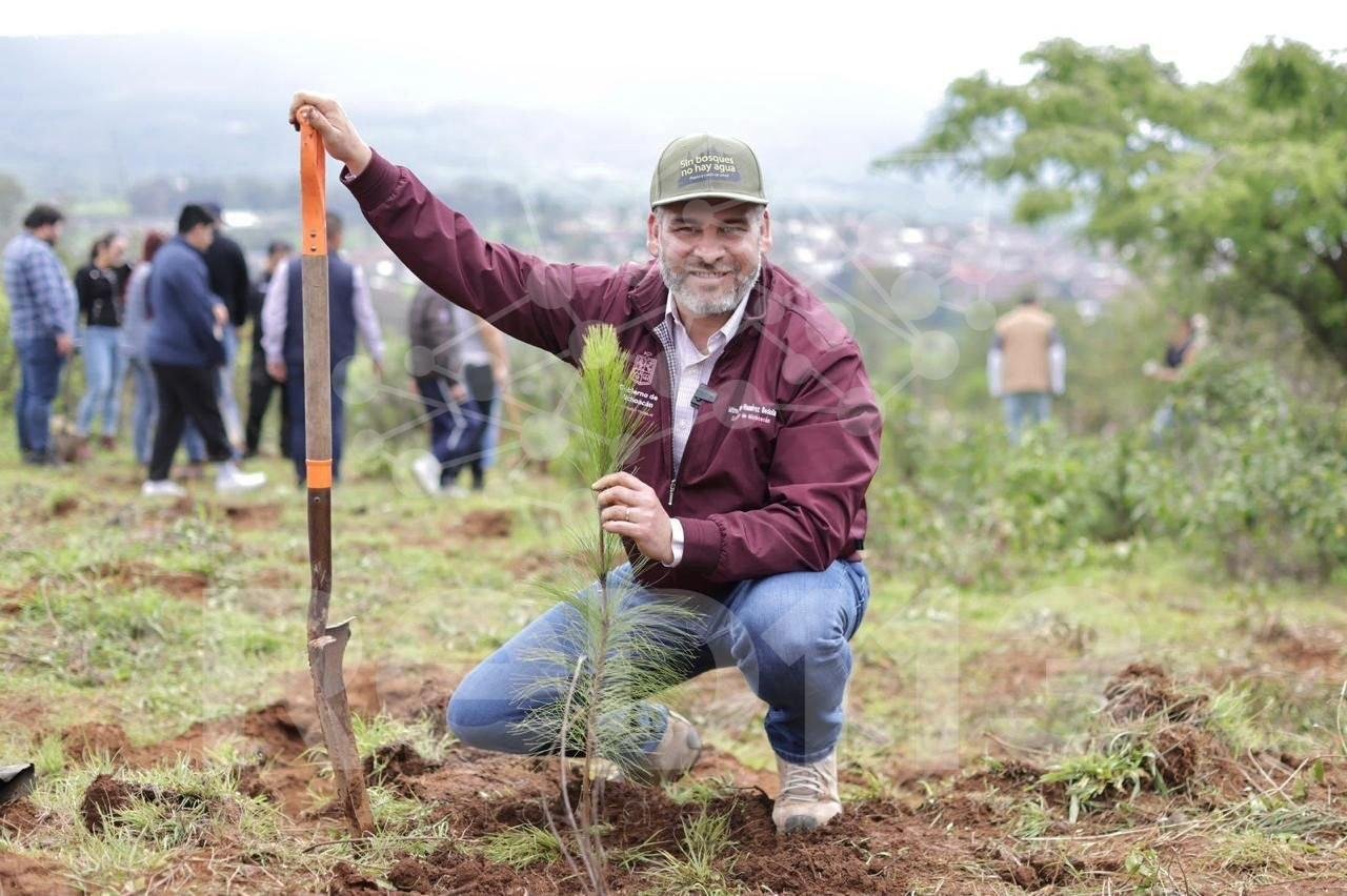 Con tecnología de drones, Michoacán dispersará 200 mil semillas forestales: Bedolla