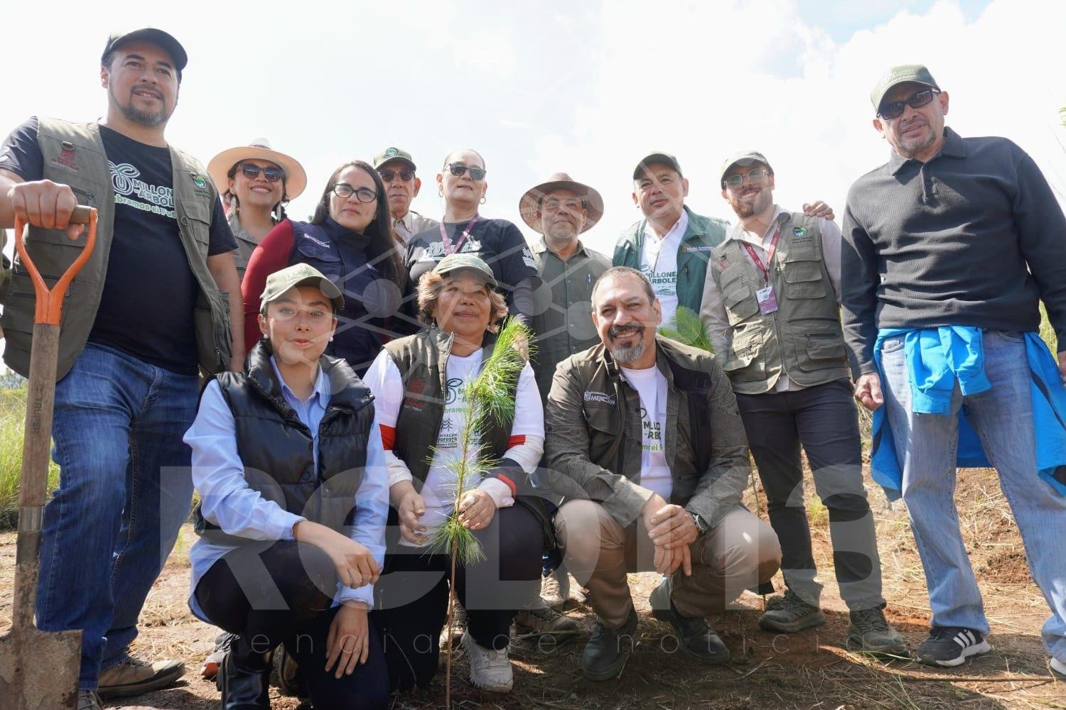 Reforestación en Michoacán, clave para la recuperación de ecosistemas y recursos hídricos