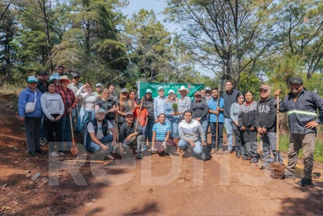 Dayana Pérez fortalece la campaña Reforestando Salvador Escalante junto a ejidatarios de Santa Rosa