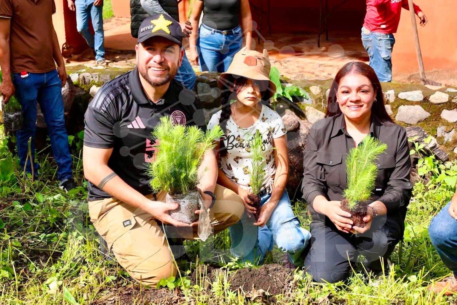 Se suma Reyes Galindo a acciones de reforestación en La Huacana