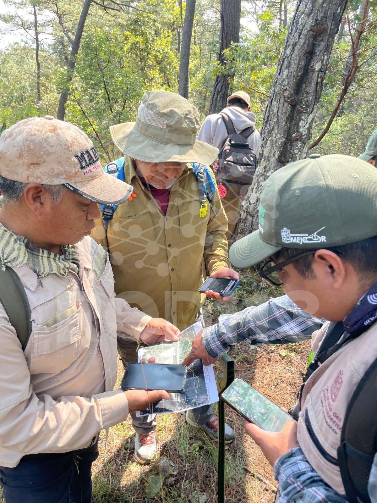 Desde pumas hasta venados; cámaras trampa captan la vida silvestre en bosques de Michoacán