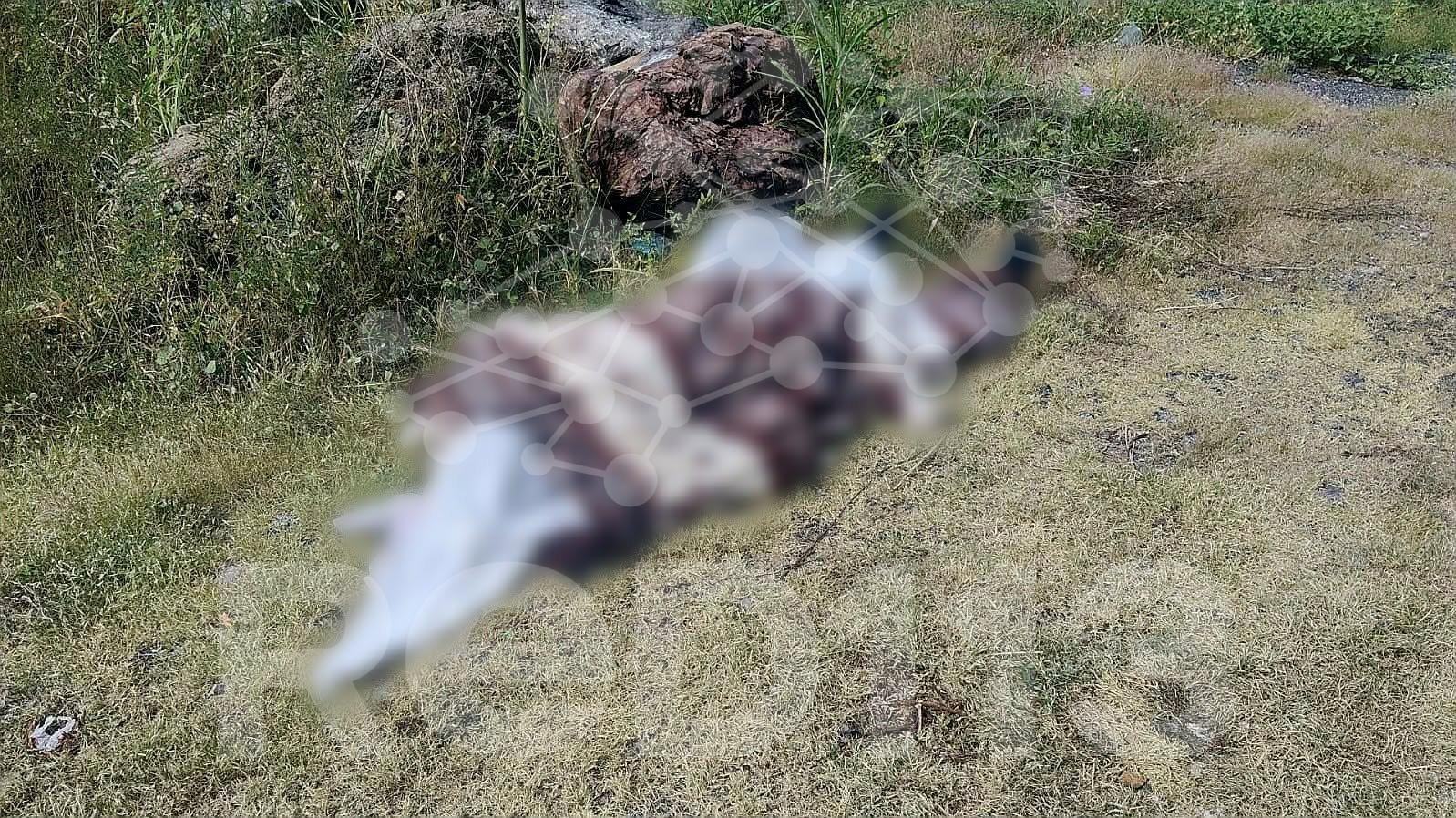 Abandonan cadáver encobijado en el camino a Acahuato