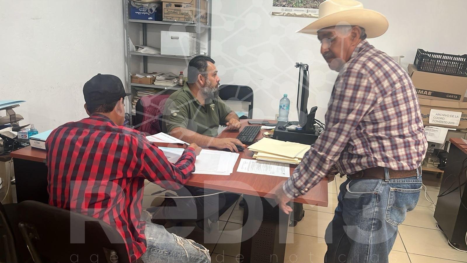 Amplían al 15 de octubre el registro para el incentivo de comercialización de trigo