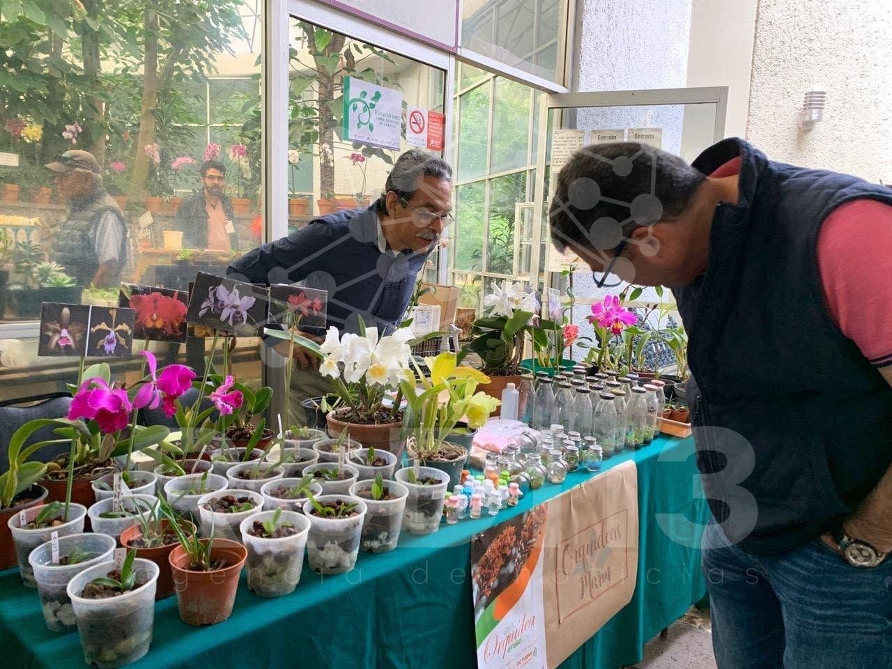 Ceconexpo invita a disfrutar de la Expo Orquídeas y Plantas 2026 en Morelia
