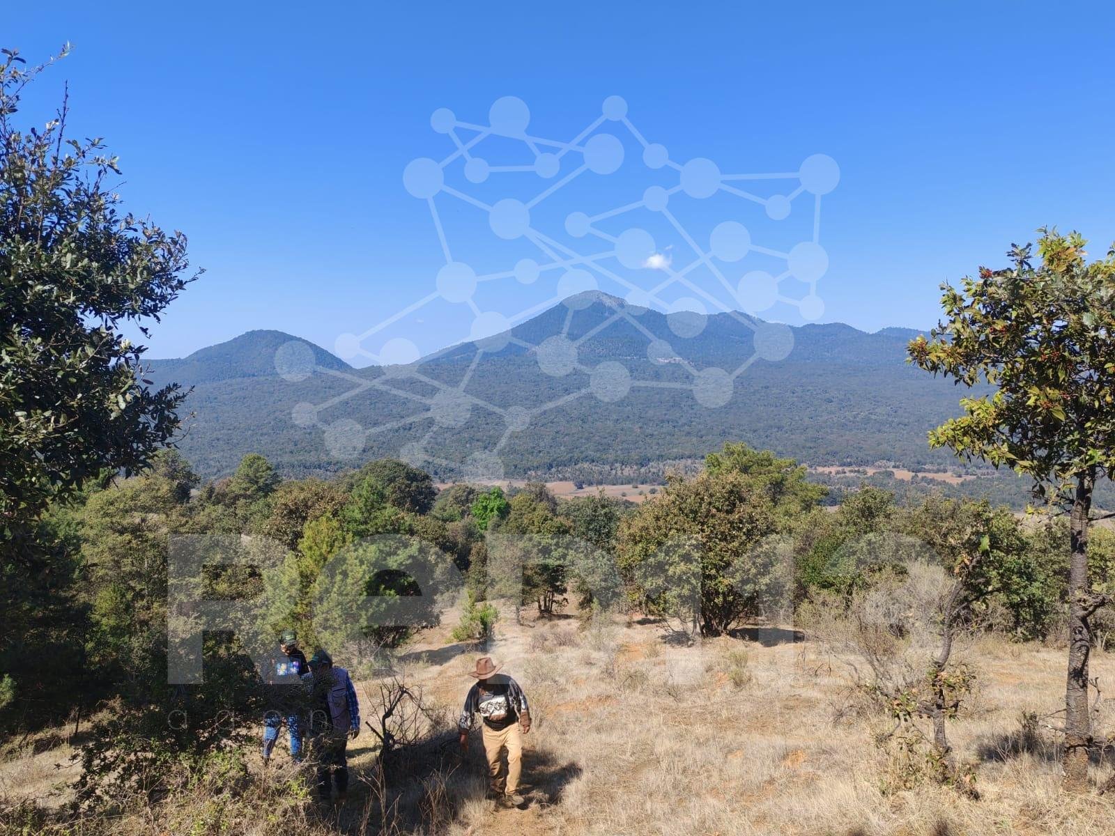 Michoacán triplica superficie de conservación forestal; más de 212 mil hectáreas protegidas