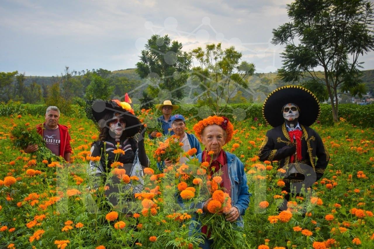 Carlos Estrada destaca impacto turístico y económico de la Fiesta de la Flor de Cempasúchil en Tarímbaro