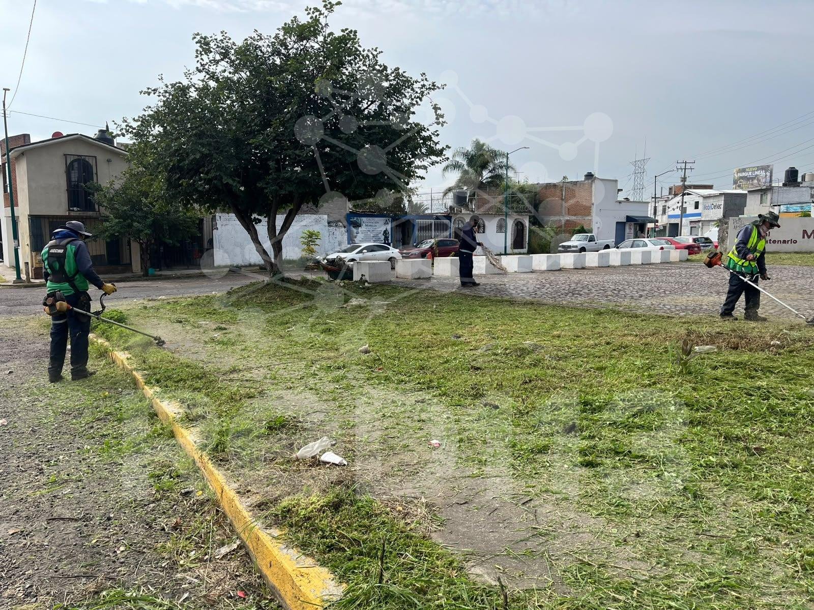 Gobierno de Morelia y ciudadanía realizan jornada de limpieza en Parque Lineal Bicentenario