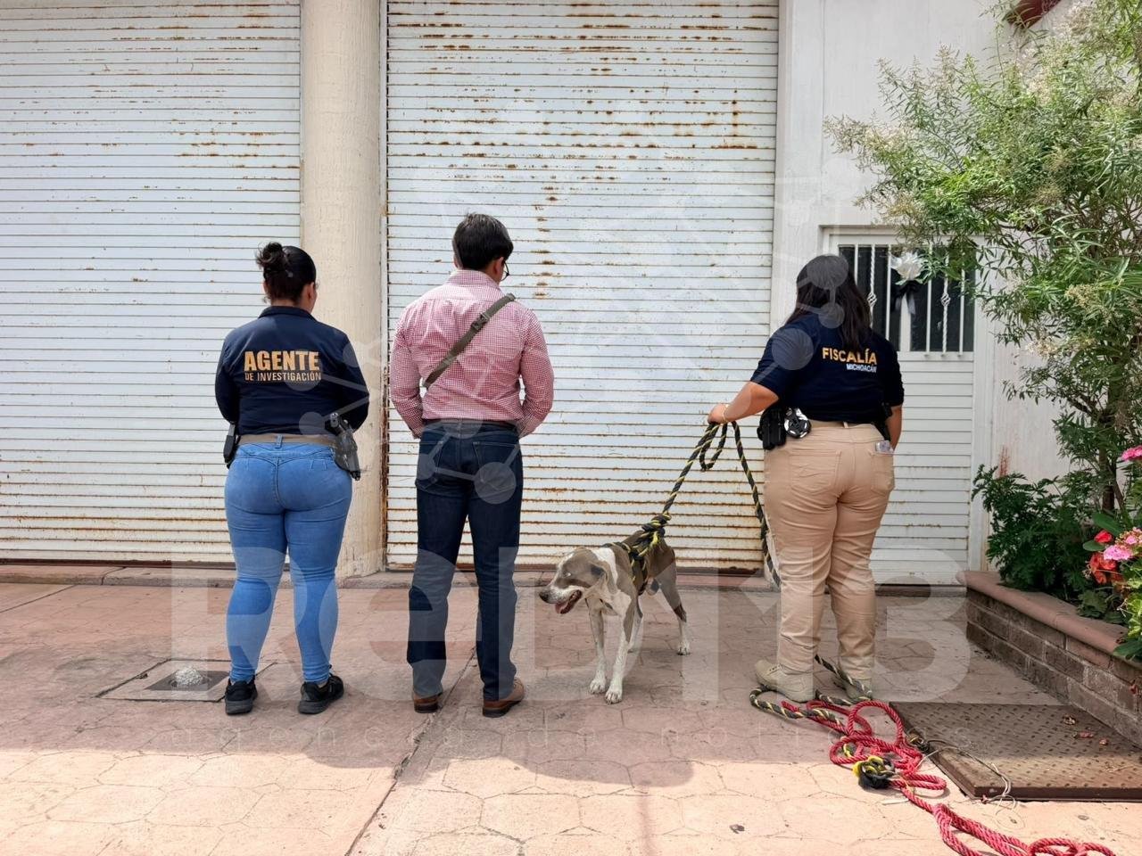 Rescata FGE a ejemplar canino en severo estado de desnutrición durante cateo en Zitácuaro